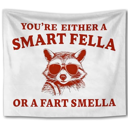 Foritho Funny Trendy Raccoon Tapestry, Humorous Trash Panda Tapestry Wall Hanging, You Are Either a Smart Fella Sarcastic Wall Tapestries for Bedroom Living Room Home Decor, 50x60 Inch - color: Color 10