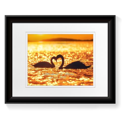 Swan Couple with Heart Photo Prints Artwork with Couple's Names,Date or Message on,Perfect Love Gift for Anniversary,Wedding.14x11 inches D-Mats UNFRAMED - color: Silhouette of Swan, size: 11x14"