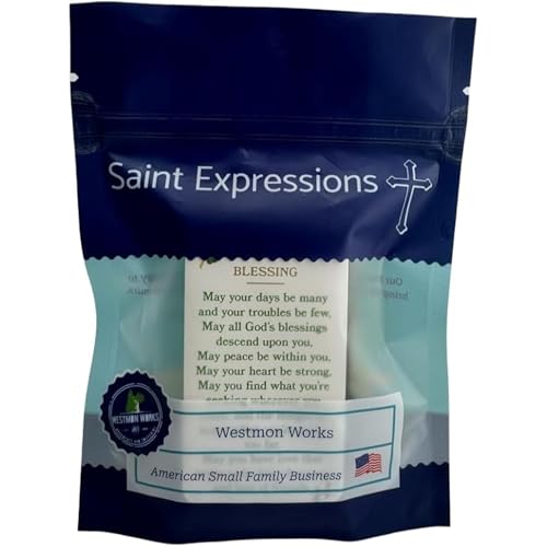 Divine Mercy Holy Cards Bulk Bundle Prayer Pack for School Set of 25