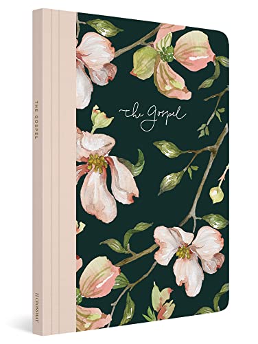 ESV Prayer Journal: 30 Days on the Gospel (Paperback)