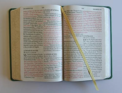 Biblia RVR 1960 Letra gigante símil piel verde con pájaros (Edición cantos pintados) / Spanish Bible RVR 1960 Giant Print Handy Size Leathersoft Green (Spanish Edition)