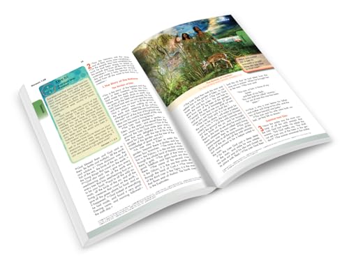 Breakthrough! The Bible for Young Catholics: NABRE translation