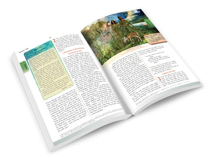 Breakthrough! The Bible for Young Catholics: NABRE translation