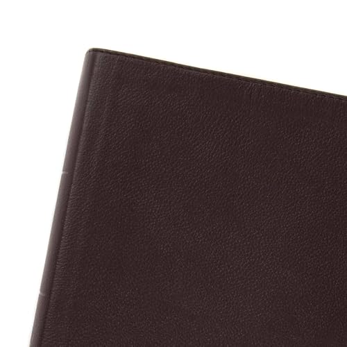 CSB Study Bible, Brown Genuine Leather, Red Letter, Study Notes and Commentary, Illustrations, Articles, Word Studies, Outlines, Timelines, Easy-to-Read Bible Serif Type