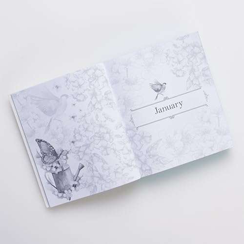 The Illustrated Words of Jesus for Women Daily Devotional - 366 Days of Calming Coloring and Meaningful Meditation on the Words of Jesus