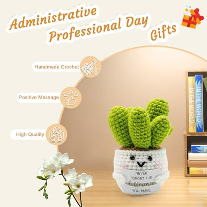 LUICONMO Thank You Gifts for Women, Employee Appreciation Gift - style: Chaos Coordinator