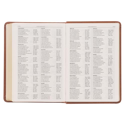 KJV Holy Bible, Compact Large Print Faux Leather Red Letter Edition - Ribbon Marker, King James Version, Saddle Tan