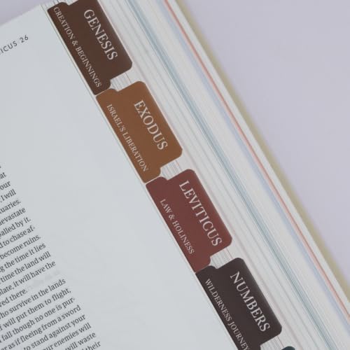 UPAFEXXI-Laminated Bible Tabs with Book Summaries, Bible Study Supplies - color: Summaries Boho3