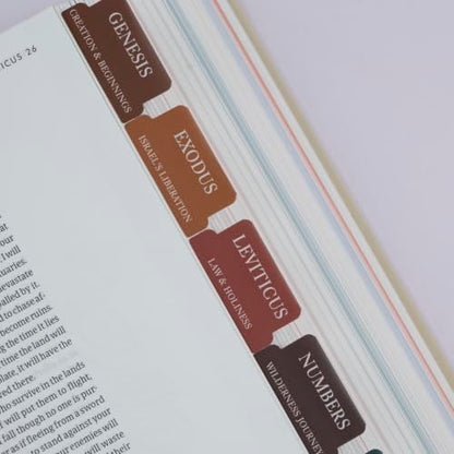 UPAFEXXI-Laminated Bible Tabs with Book Summaries, Bible Study Supplies - color: Summaries Boho3