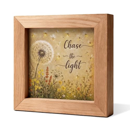 Chase the Light, Framed Wooden Farmhouse Wall Art - color: Light41