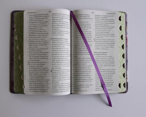 Biblia Reina Valera letra gigante, tapa dura, flores moradas, con cantos pintados e índice / Spanish Bible Reina Valera Giant Print, Hardcover Purple Flowers (Spanish Edition)