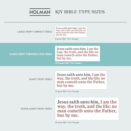 KJV Large Print Personal Size Reference Bible, Teal LeatherTouch Indexed, KJV Holy Bible, Red Letter, Pure Cambridge Text, Presentation Page, Cross-References, Full-Color Maps