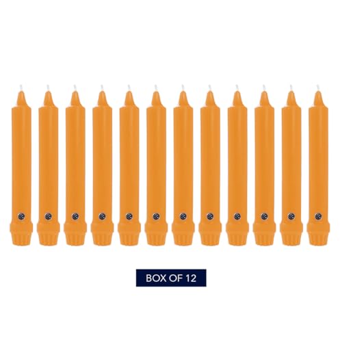 Colonial Candle Unscented Taper Candle, Classic Collection, Caramel, 8 in, Pack of 12 - Up to 6 Hours Burn - color: Caramel, size: 8 In, style: Classic