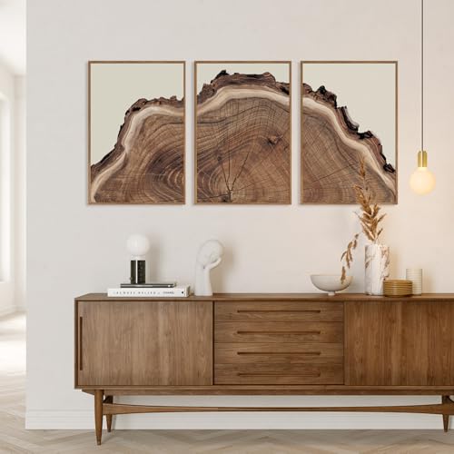 SIKERIC Framed Nature Tree Ring Wall Art, (24X36 inch) Modern Wood Stump Canvas Wall Art Set Of 3,Large Wood Tree Spiral Art Prints, Abstract Wall Painting for Living Room, Bedroom, Office - color: Nature Tree Ring, size: 24"L x 36"W