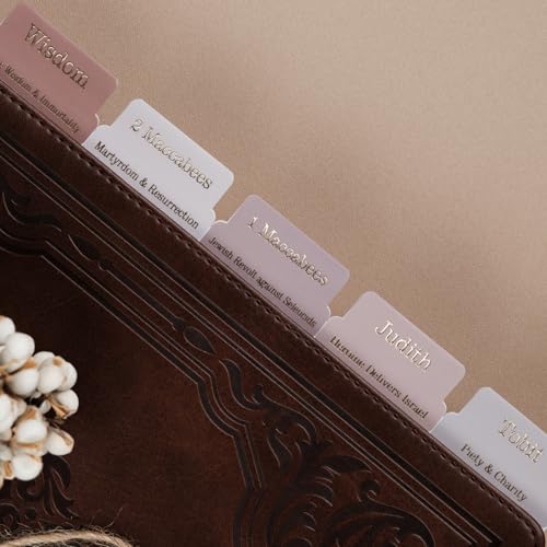 UPAFEXXI-Laminated Bible Tabs with Book Summaries - color: Summaries Earth Tone