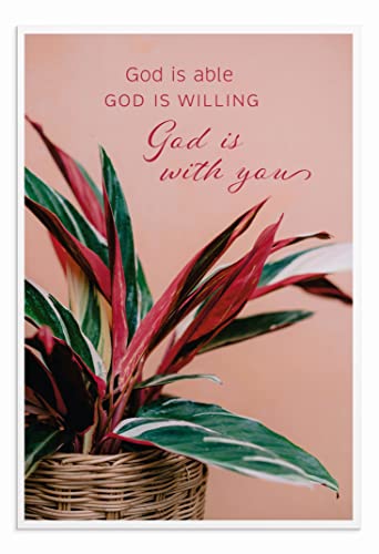 DaySpring - Encouragement - God is with You - 4 House Plant Designs Assortment with Scripture - 12 Encouragement Boxed Cards & Envelopes (U0064)