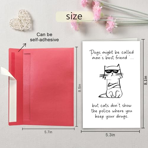Humorous Birthday Card for Cat Lover, Funny Friendship Card from Cat, Cats are Man's Best Friends - color: Cats are Man's Best Friends