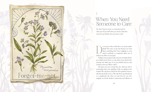 The Way of the Wildflower: Gospel Meditations to Unburden Your Anxious Soul