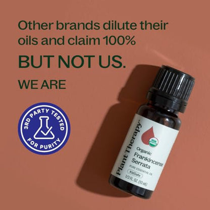 Plant Therapy Frankincense Serrata Certified Organic Essential Oil 10 mL - size: 0.33 Fl Oz (Pack of 1)