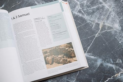 Zondervan Handbook to the Bible, Sixth Edition: New Maps and Charts, Photos, and Articles Bring the Bible to Life