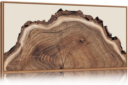 SIKERIC Framed Nature Tree Ring Wall Art, (40X20 inch) Modern Wood Stump Canvas Wall Art Set Of 1,Large Wood Tree Spiral Art Prints, Abstract Wall Painting for Living Room, Bedroom, Office - color: Nature Tree Ring, size: 39.4"L x 19.7"W