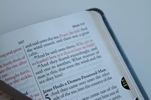 KJV Holy Bible, Large Print Medium format, Gray Faux Leather with Ribbon Marker, Red Letter, thumb Index (KJV Medium Size Large Print Editions)