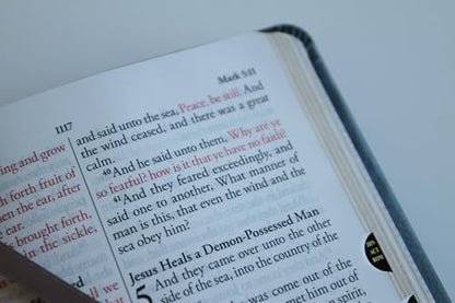 KJV Holy Bible, Large Print Medium format, Gray Faux Leather with Ribbon Marker, Red Letter, thumb Index (KJV Medium Size Large Print Editions)