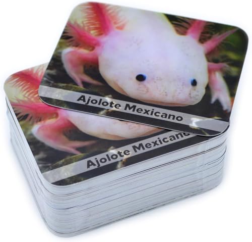 Menique Wild Animals Memory Matching Game – Spanish Edition – 80 Cards (40 Pairs) with Real Photos – Educational Game in Spanish for Kids and Adults – Includes Booklet - style: (ES) Animales Salvajes