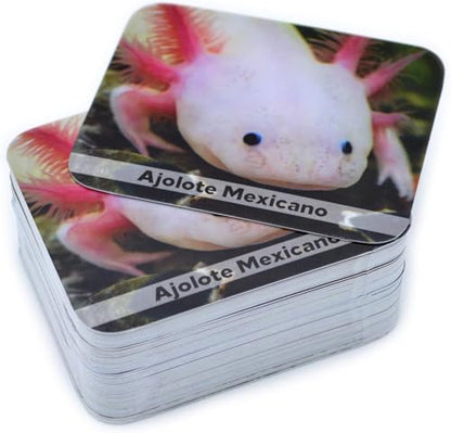 Menique Wild Animals Memory Matching Game – Spanish Edition – 80 Cards (40 Pairs) with Real Photos – Educational Game in Spanish for Kids and Adults – Includes Booklet - style: (ES) Animales Salvajes
