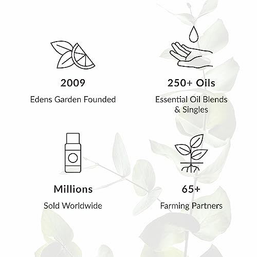 Edens Garden Myrrh & Frankincense 100% Pure Essential Oil Blend 30 ml - size: 1 Fl Oz (Pack of 1)