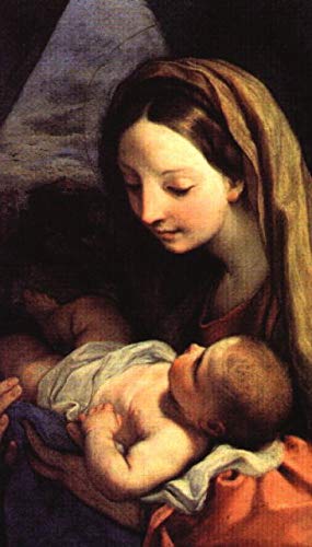 Virgin Mary Memorare LAMINATED Holy Card (5-pack) with Two Free Prayer Cards Included