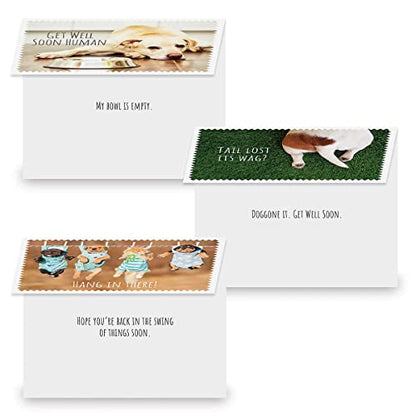 Current Get Well Greeting Card Set - color: Furry Friends