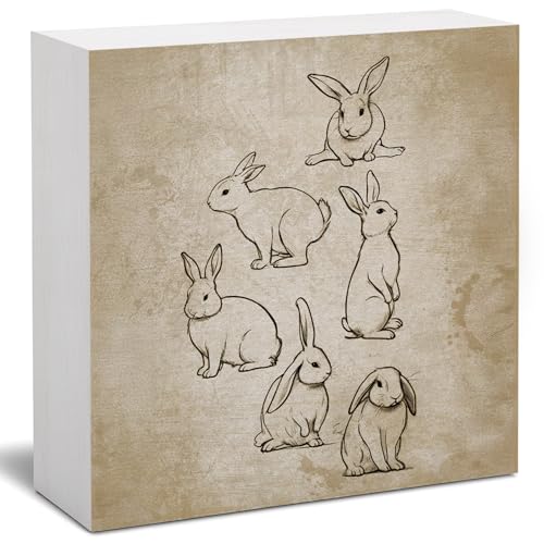 Vintage Easter Decor, Rabbit Wooden Box Sign, Rustic Easter Tiered Tray Decorations, Farmhouse Bunny Rabbit Decorative Table Centerpiece Sign for Party Home Kitchen Dining Decor 5x5 - color: 03-easter-vintage(02)