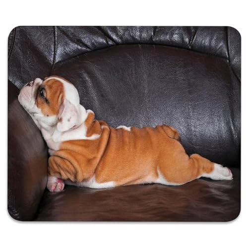 English Bulldog Mouse Pad, Puppy Resting on a Sofa Durable Desk Mat - color: Adorable Dog