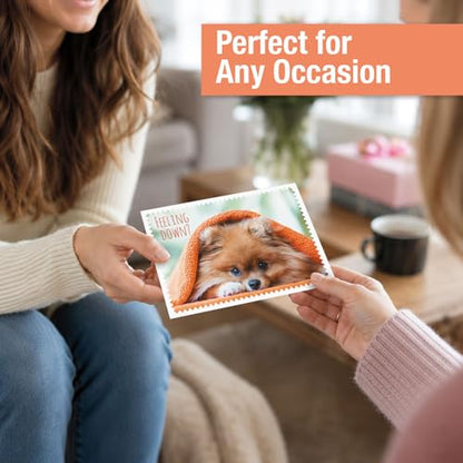 Current Get Well Greeting Card Set - color: Furry Friends