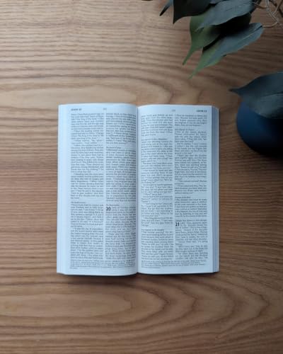 NLT Pocket Thinline New Testament with Psalms and Proverbs (Softcover)