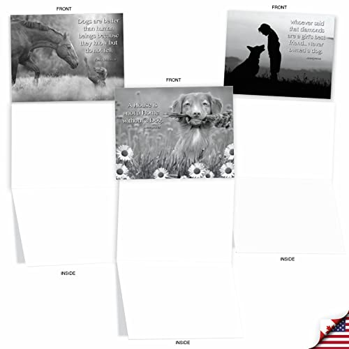 The Best Card Company - 10 Assorted Blank All Occasions Notecards Boxed Set 4 x 5.12 Inch w/Envelopes Dogs Inspirational Quote, Men, Women (10 Designs, 1 Each) - Canine Comments M1623BN-NB - style: Canine Comments