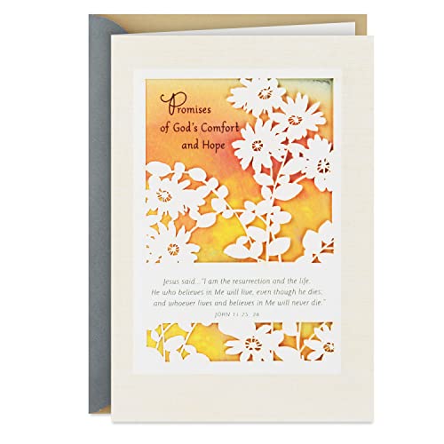 Hallmark DaySpring Religious Sympathy Card (Gods Comfort and Hope)