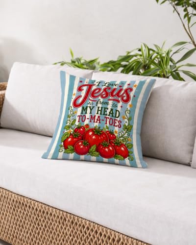 Preppy Blue Striped Christmas Tomato Pillow Cover 18x18 - color: Blue Striped