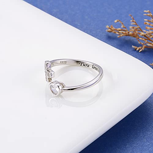 APOTIE 925 Sterling Silver Cross Ring - True Love Wait Purity Ring Cubic Zirconia Adjustable Ring Jewelry Gift for Women - style: True Love Wait