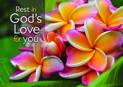 Warner Press Card-Boxed-Healing Thoughts Assorted Get Well (KJV) (Box Of 12)