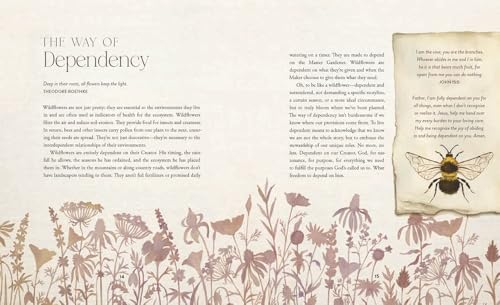 The Way of the Wildflower: Gospel Meditations to Unburden Your Anxious Soul