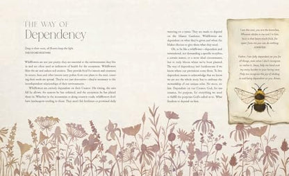 The Way of the Wildflower: Gospel Meditations to Unburden Your Anxious Soul