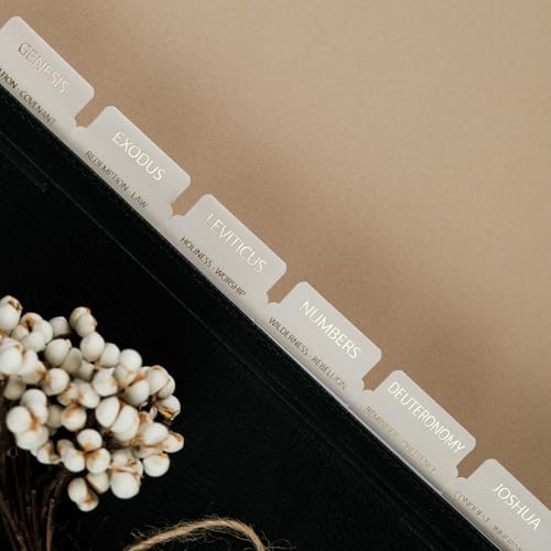 UPAFEXXI-Bible Tabs with Book Summaries, 3D Gold Foil Embossed Lettering - color: Summaries Gray
