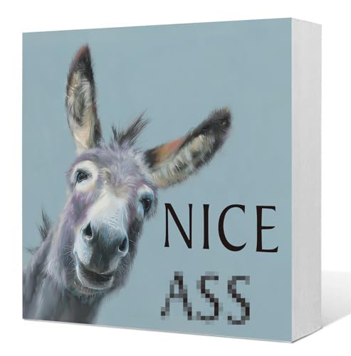 Funny Donkey Bathroom Wooden Box Sign, Donkey Bathroom Decor, Rustic Farmhouse Animal Wood Signs for Toilet Washroom Restroom Counter Shelf Decoration, 5x5 Inch - color: Funny Donkey