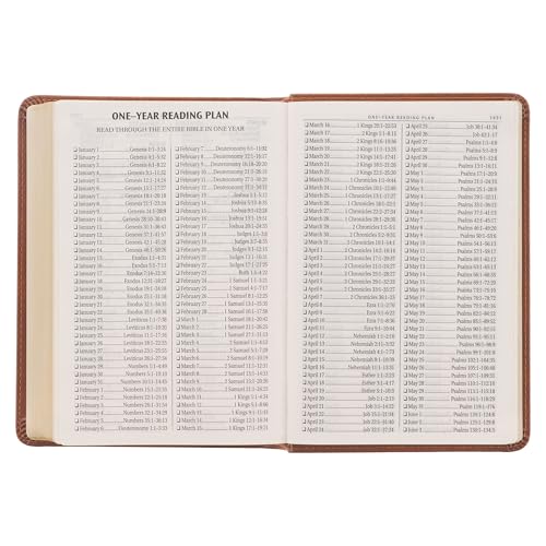 KJV Holy Bible, Compact Large Print Faux Leather Red Letter Edition - Ribbon Marker, King James Version, Saddle Tan