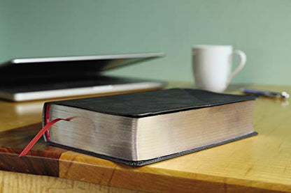 NIV, Revolution Bible, Leathersoft, Gray/Navy: The Bible for Teen Guys