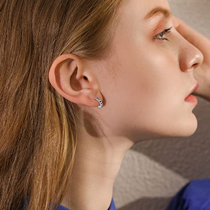 AOBOCO Black Hoops Earrings for Men Sterling Silver Viking Celtic Cross Heart Skull Round Triangle Hoop Earrings Birthday Father Day Christmas Jewelry Gifts for Men Women Friends - style: Round Moonphase Hoops