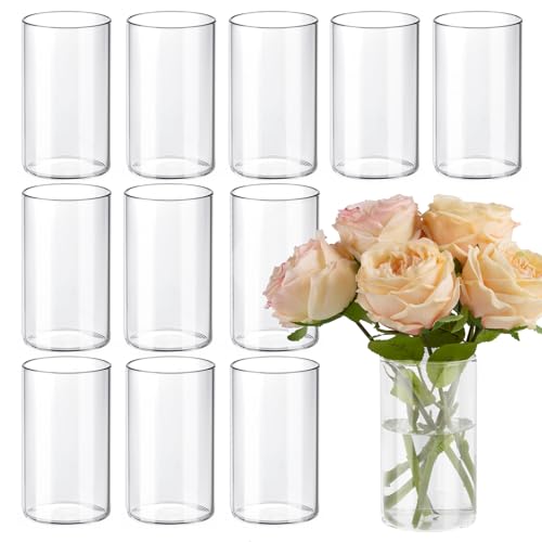 TBWIND 12pcs 6 Inch Clear Glass Cylinder Vases for Centerpieces - size: 12 Pack 6 Inch - Clear