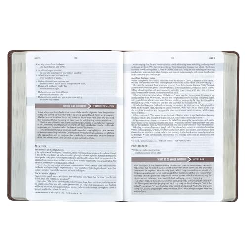 NLT Holy Bible Everyday Devotional Bible for Men New Living Translation, Vegan Leather, Chestnut Brown Debossed, Flexible Daily Bible Reading Plan Options (NLT Mens Devo Editions)